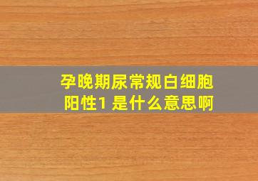 孕晚期尿常规白细胞阳性1 是什么意思啊